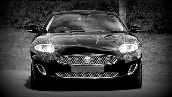 Lavage écologique de véhicules : l'avenir du nettoyage auto respectueux